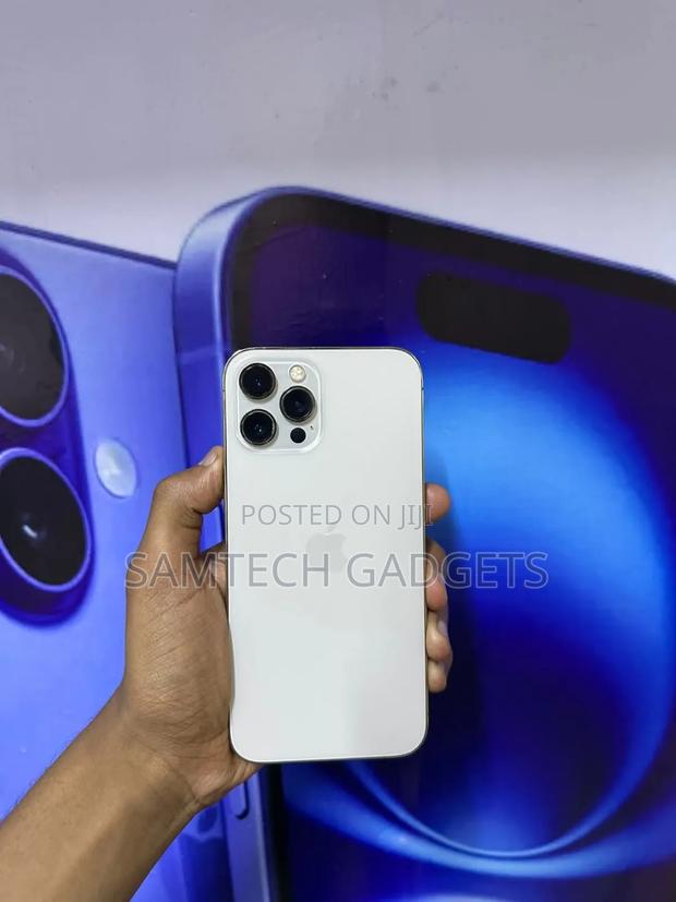 Apple iPhone 12 Pro 256 GB Silver - thumbnail 4