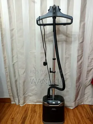 Garment Steamer