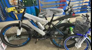 24" Tanda Mountain Bicycle