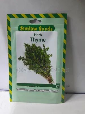 Thyme Herb Seeds 10 Grams