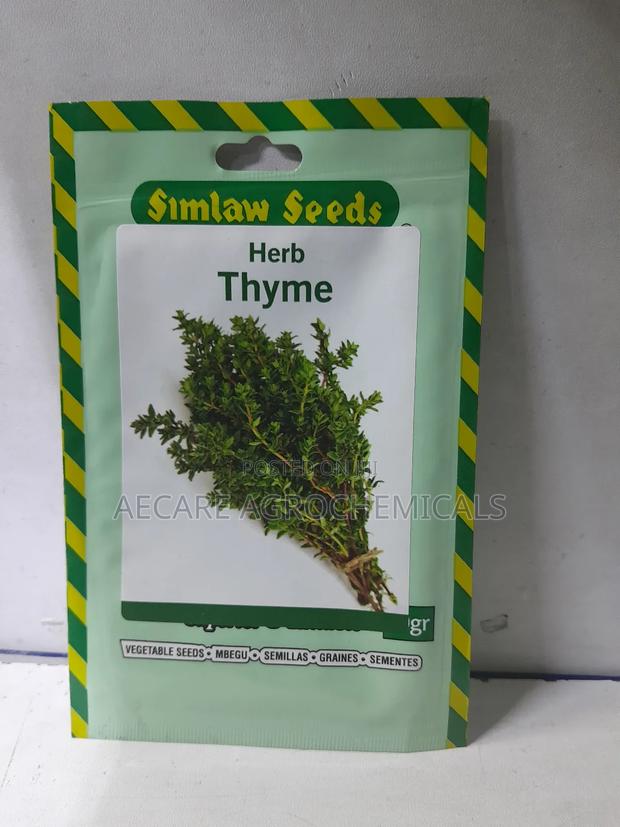 Thyme Herb Seeds 10 Grams - thumbnail 4