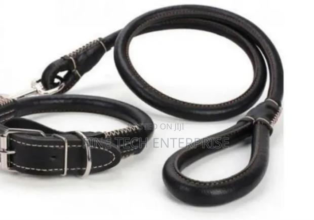 Complete Set Easy Grip Rolled Up Leather Dog Collar and Leash