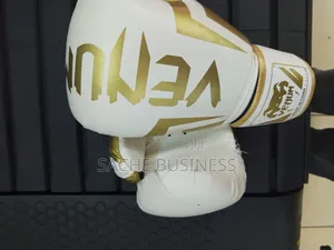 Boxing Gloves 10 Oz Vemum