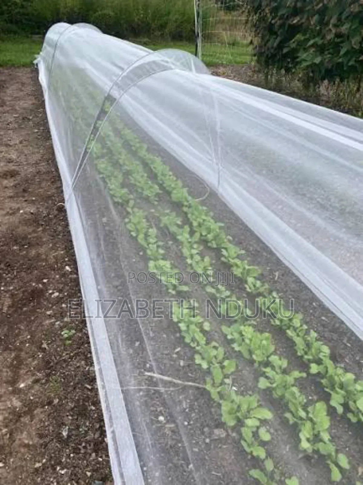 Insect Net 50m Superior Protection