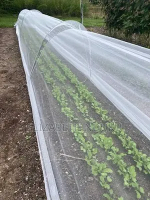 Insect Net 50m Superior Protection