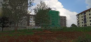 50 Hy 100 Plot on Sale