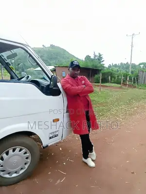 Professional Driver