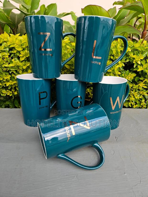 6 Pieces Long Mugs