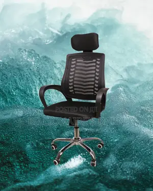 Orthopedic Secretarial Mesh Chair | Swivel Base
