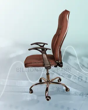Ergonomic Executive Leather Chair | Pro-Grade Lumbar Support