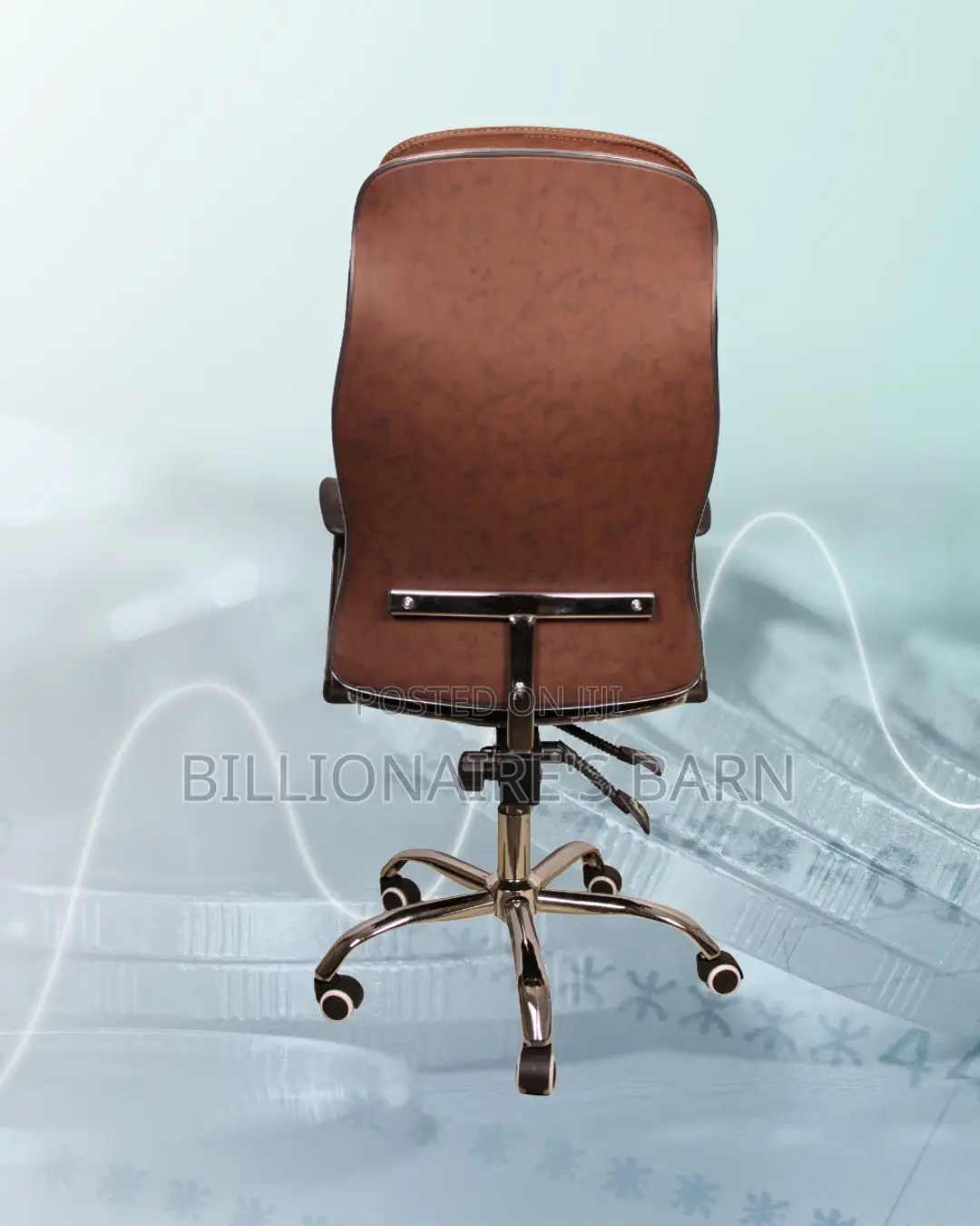 Ergonomic Executive Leather Chair | Pro-Grade Lumbar Support