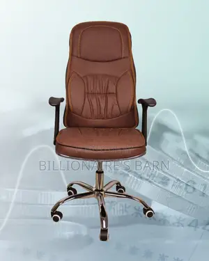 Ergonomic Executive Leather Chair | Pro-Grade Lumbar Support