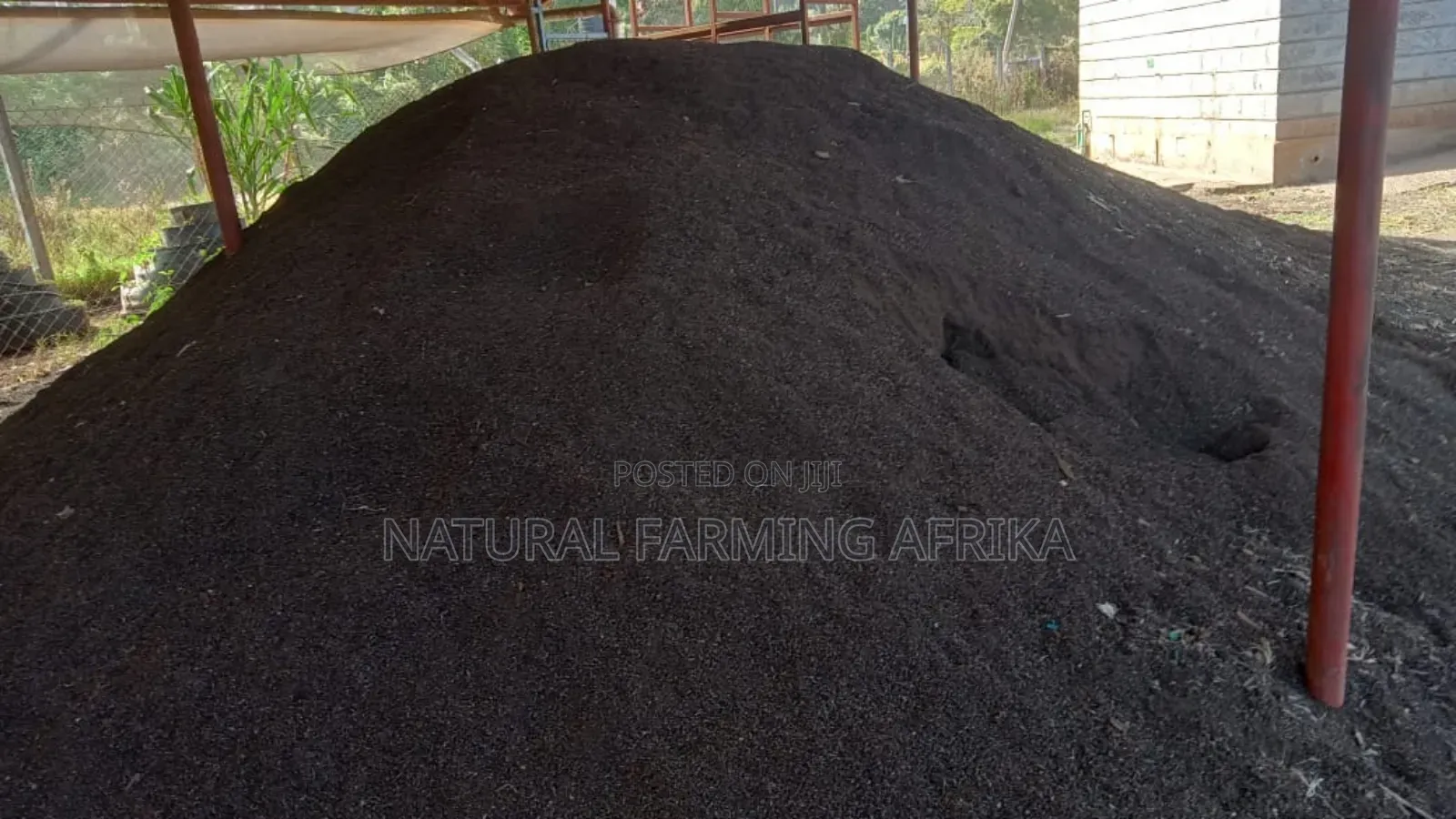 Sifted Vermicompost Urban Gardening