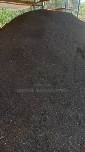 Sifted Vermicompost Urban Gardening