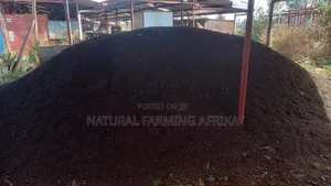 Sifted Vermicompost Urban Gardening