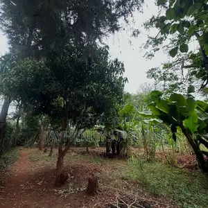 Half Acre Plot for Sale in Njathaini Road,Off Kiambu Rd at Kes 30m