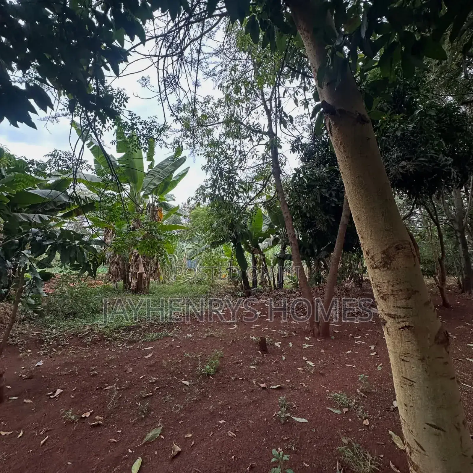 Half Acre Plot for Sale in Njathaini Road,Off Kiambu Rd at Kes 30m
