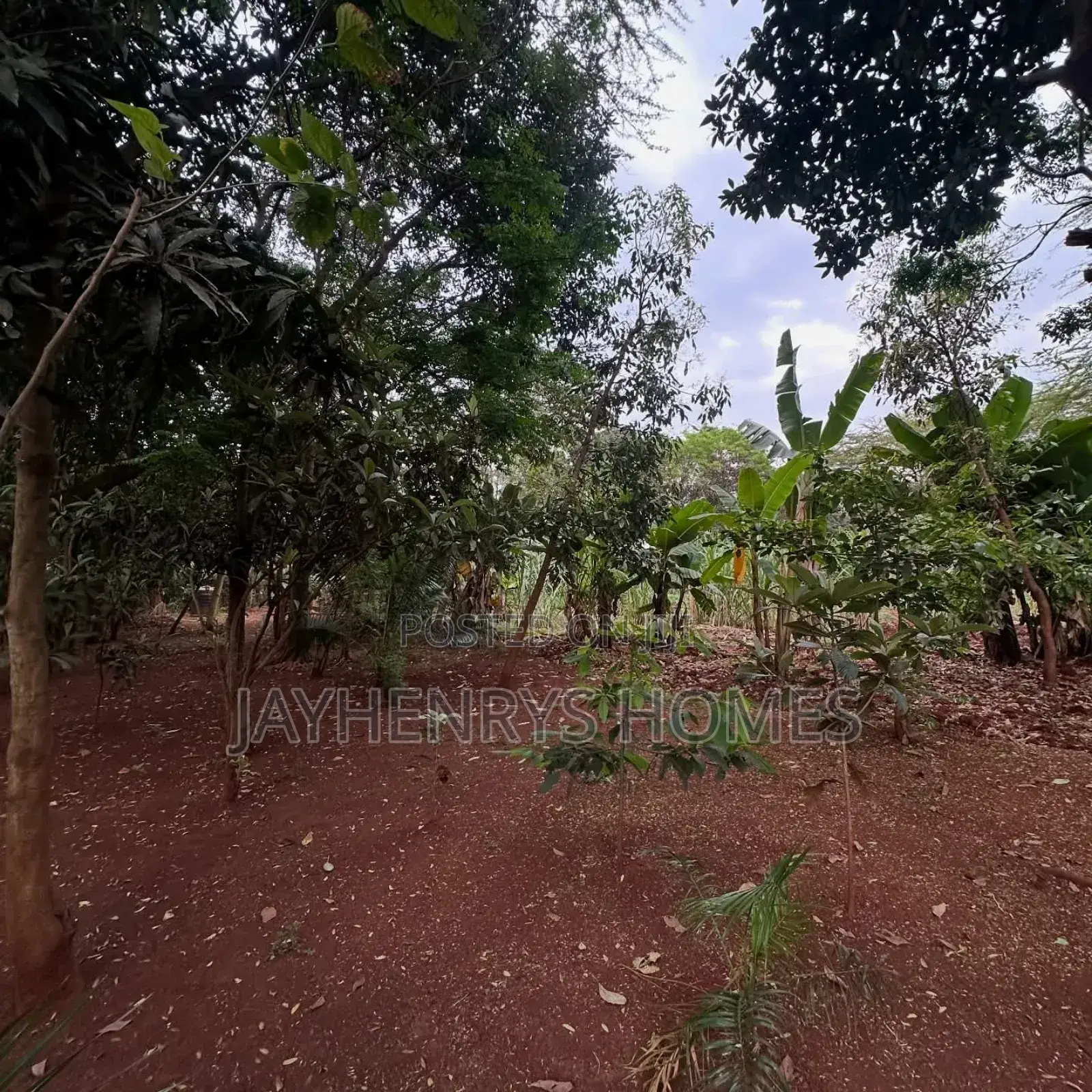 Half Acre Plot for Sale in Njathaini Road,Off Kiambu Rd at Kes 30m