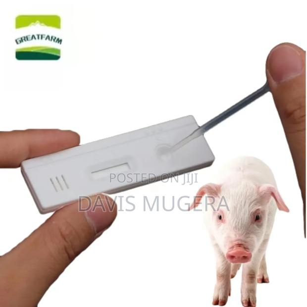 High Accuracy HCG Pig Pregnancy Test Kit Strip Paper