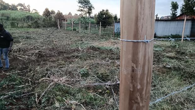 Prime Plot in Kikuyu Kerwa for Sale - thumbnail 4