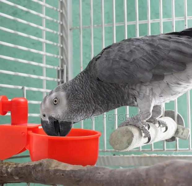 Automatic Drinking Bowl for Parrots, Poultry Broilers, Quail, Goose - thumbnail 3