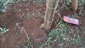 Prime Land in Kikuyu Kerwa for Only 2.2m - thumbnail 2