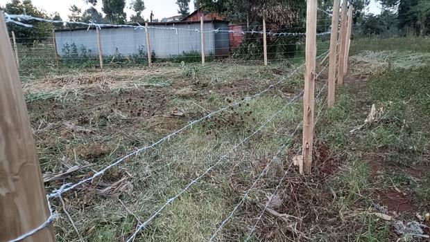 Prime Land in Kikuyu Kerwa for Only 2.2m - thumbnail 3
