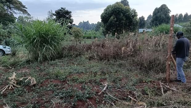 Prime Land in Kikuyu Kerwa for Only 2.2m - thumbnail 4
