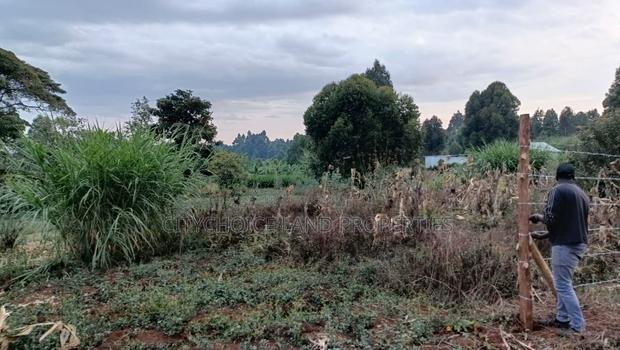 Prime Land in Kikuyu Kerwa for Only 2.2m - thumbnail 5