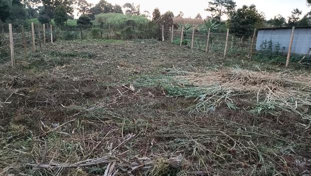 Prime Land in Kikuyu Kerwa for Only 2.2m - thumbnail 6