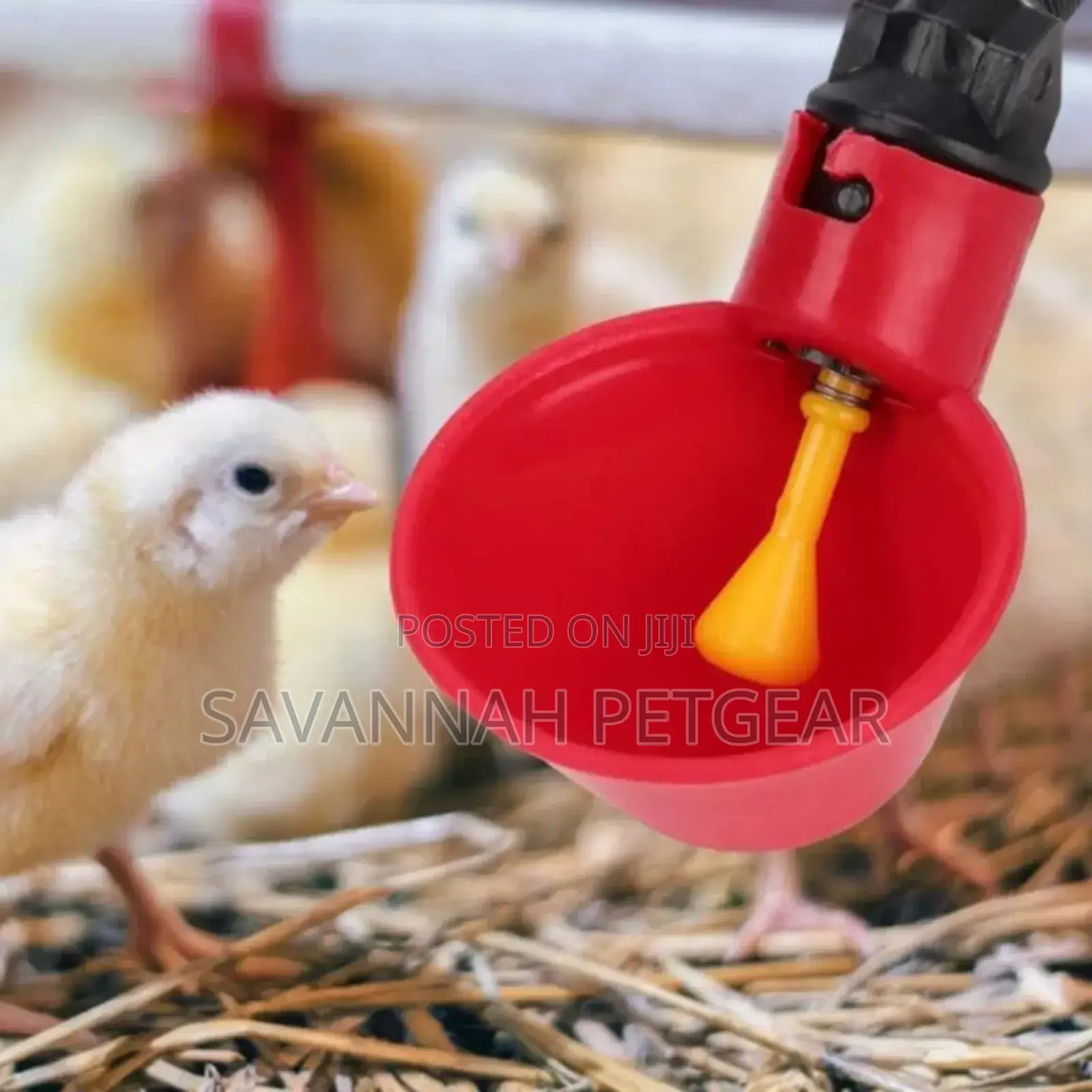 Automatic Poultry Quail Chicken Chicks Water Dispenser