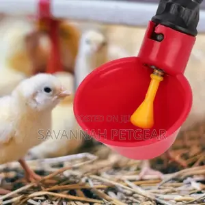 Automatic Poultry Quail Chicken Chicks Water Dispenser