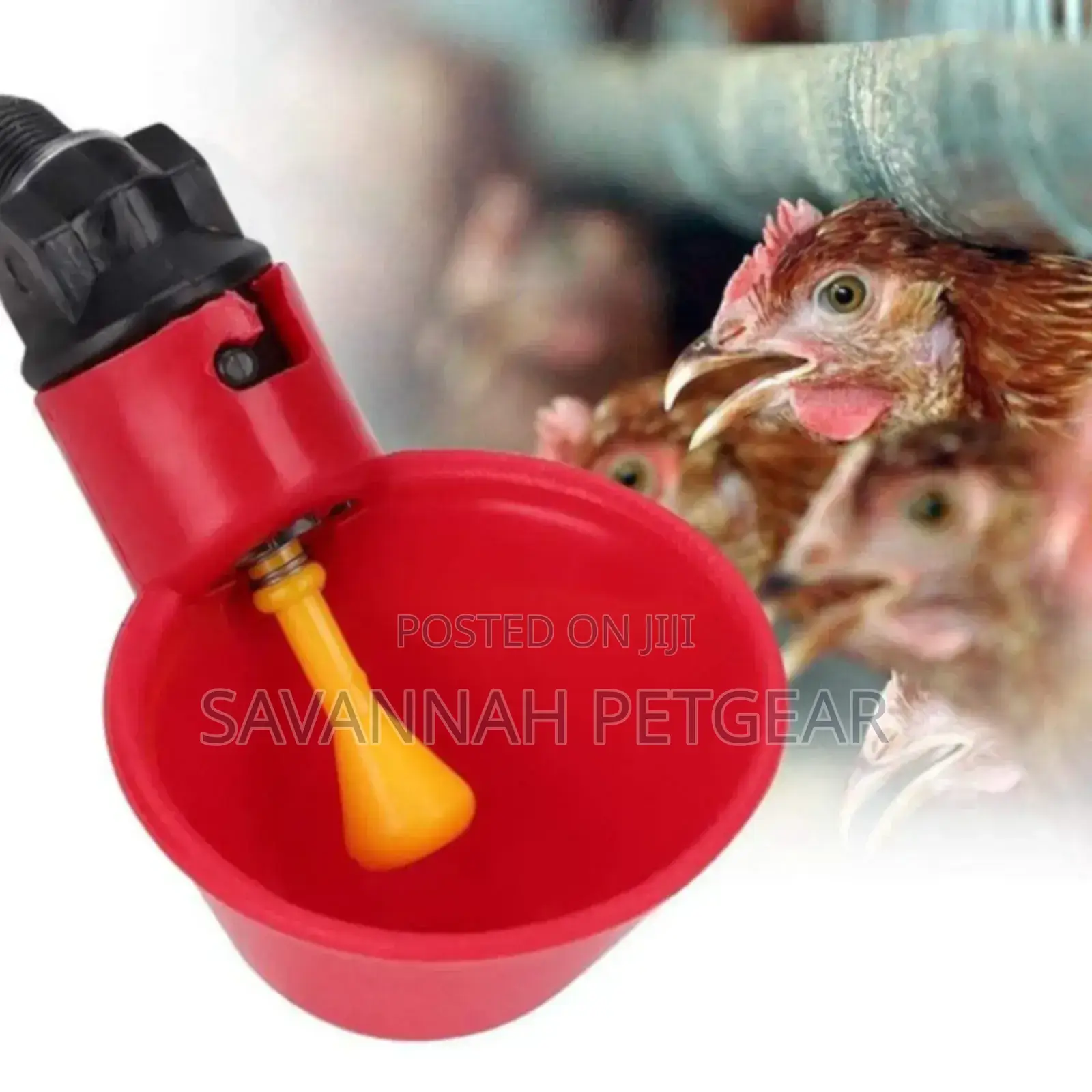 Automatic Poultry Quail Chicken Chicks Water Dispenser