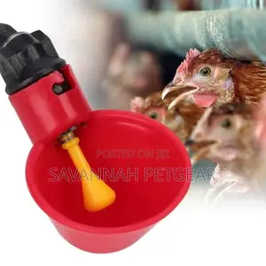 Automatic Poultry Quail Chicken Chicks Water Dispenser