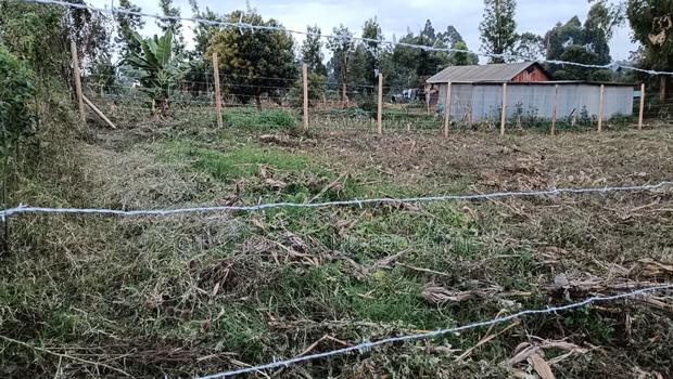 Buy and Build Prime Plot in Kikuyu Muguga - thumbnail 3