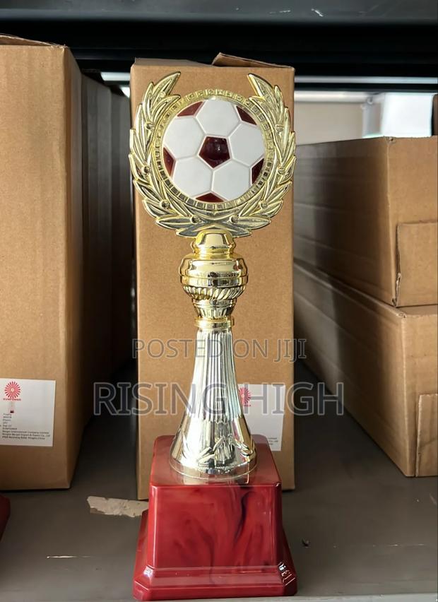 Stylish Trophies for Recognition Awards