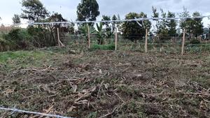 Prime Affordable Land Investments in Kikuyu - thumbnail 2
