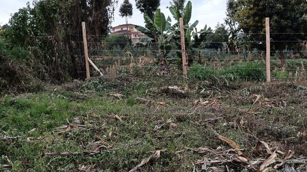 Prime Affordable Land Investments in Kikuyu - thumbnail 4