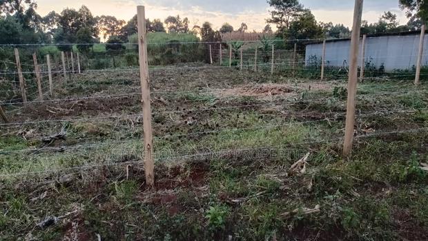 Prime Affordable Land Investments in Kikuyu - thumbnail 5