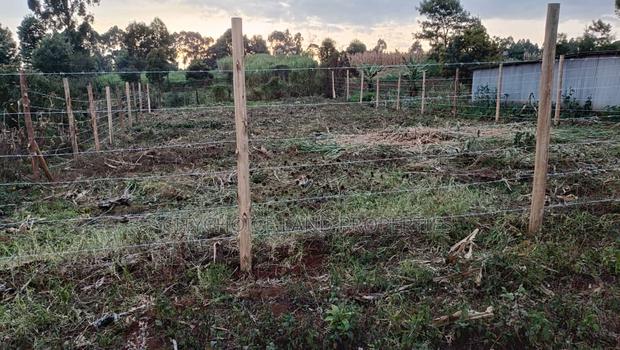 Prime Affordable Land Investments in Kikuyu - thumbnail 6