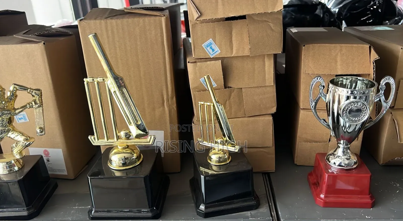 Professional Award Trophies – Fast Delivery