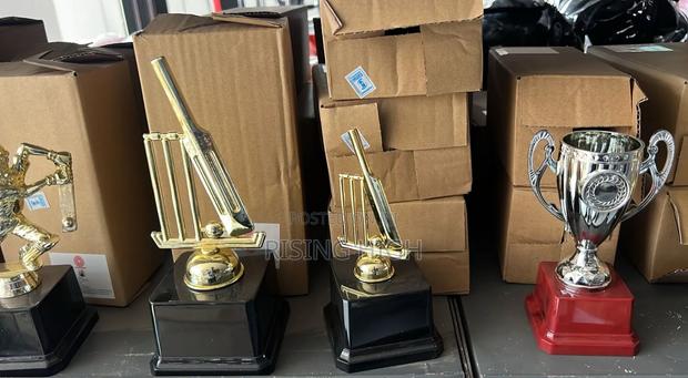 Professional Award Trophies – Fast Delivery