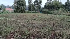 Kikuyu Kerwa Prime Plot – Only 400m From Kanduma Centre