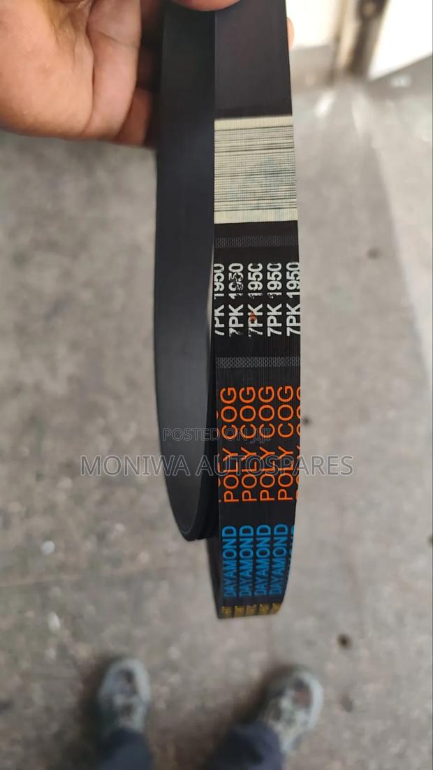 Fan Belt and Timing Belt All Vehicles Assorted
