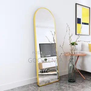 Home Mirror; Luxury Full-Length Dressing Mirror for Home Use