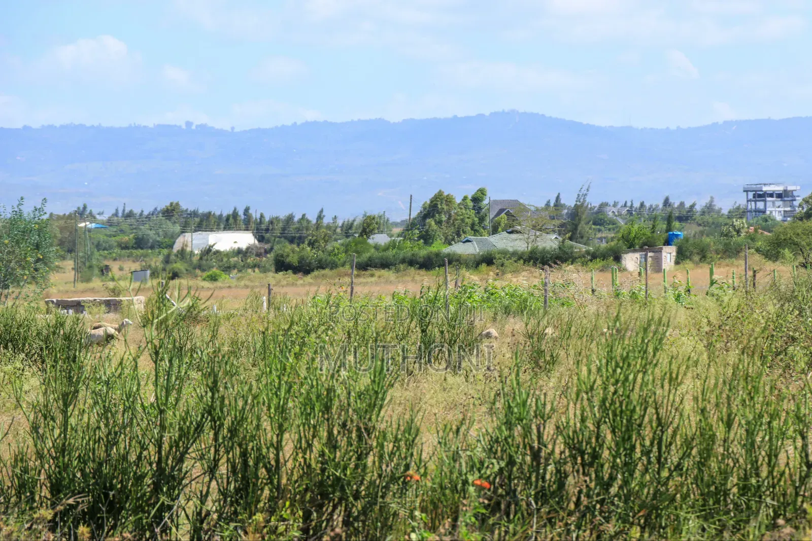 Joska -Kagundo Road Plots