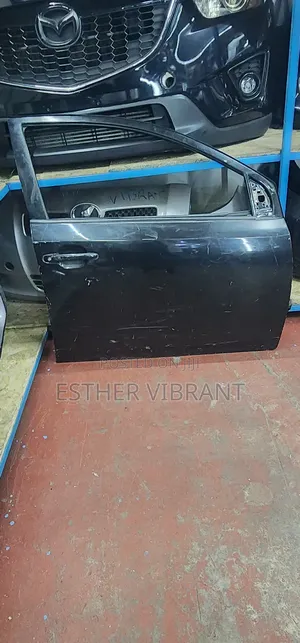 Allion 260 Front RHS Door