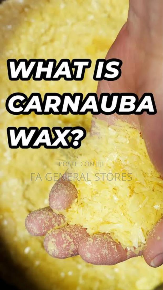Carnauba Wax - main view