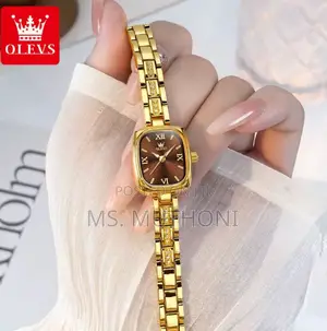 Minimalistic Luxury Jewel Ladies Waterproof Stainless Steel Watch