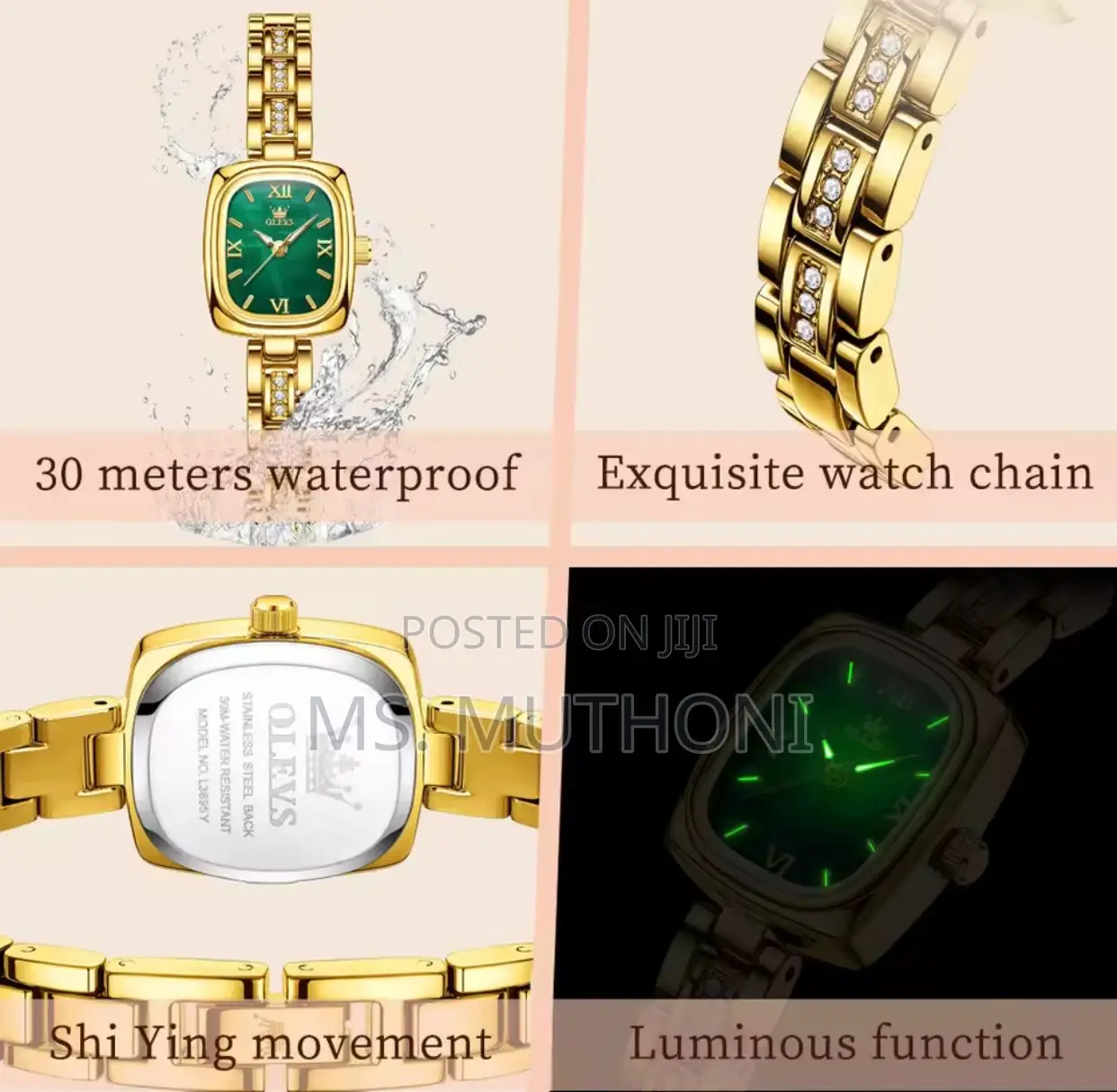 Minimalistic Luxury Jewel Ladies Waterproof Stainless Steel Watch